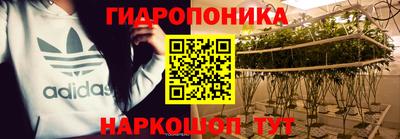 дурь Тверь