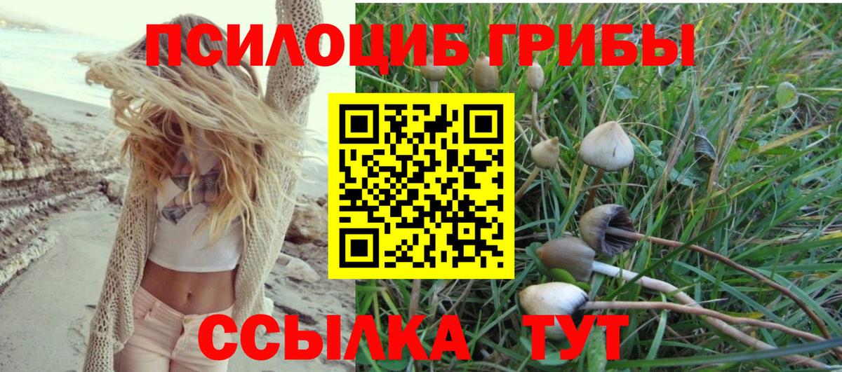 Галлюциногенные грибы MAGIC MUSHROOMS Муравленко