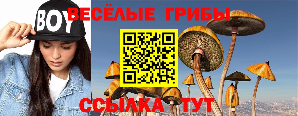 Галлюциногенные грибы мицелий  Вход с VPN  Муравленко 